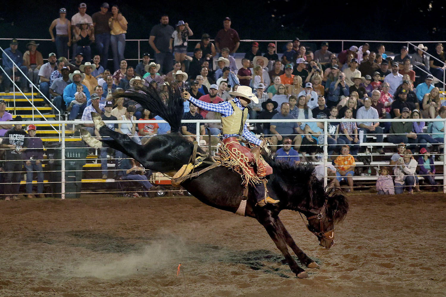 2025 Abbyville rodeo_0691s.jpg