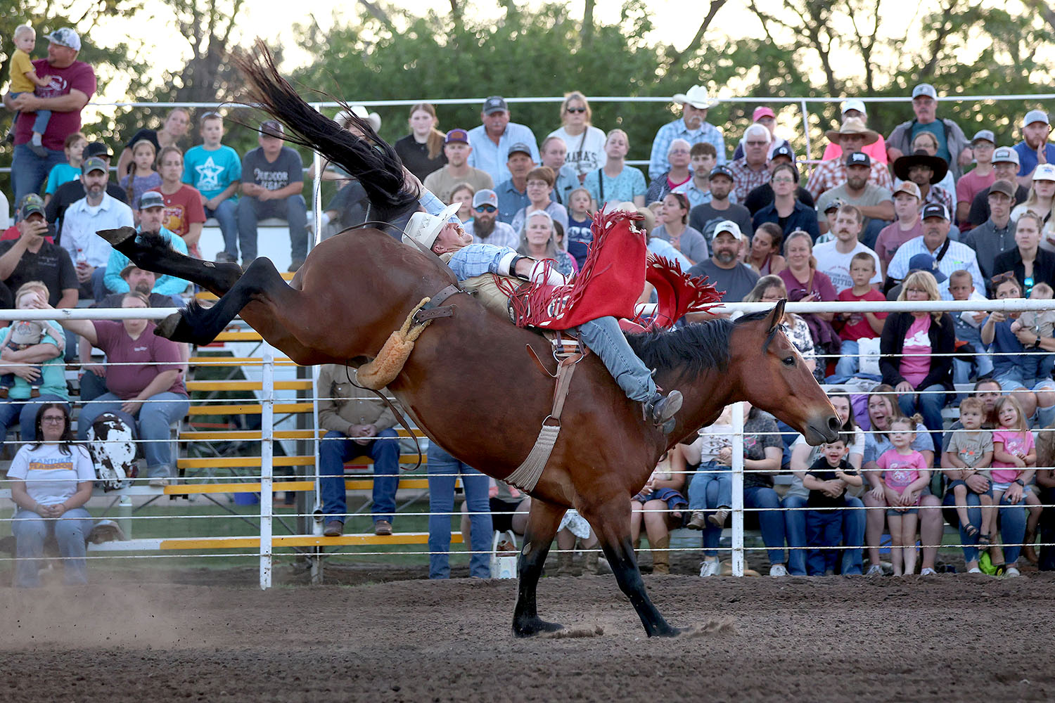 2025 Abbyville rodeo_9750s.jpg
