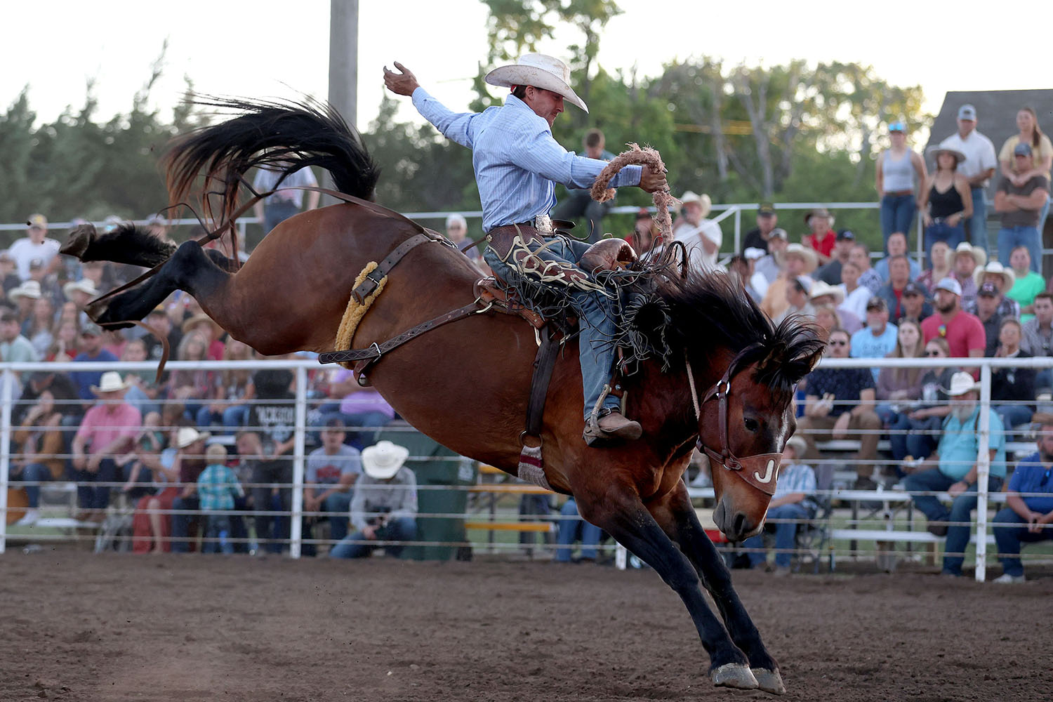 2025 Abbyville rodeo_9915s.jpg