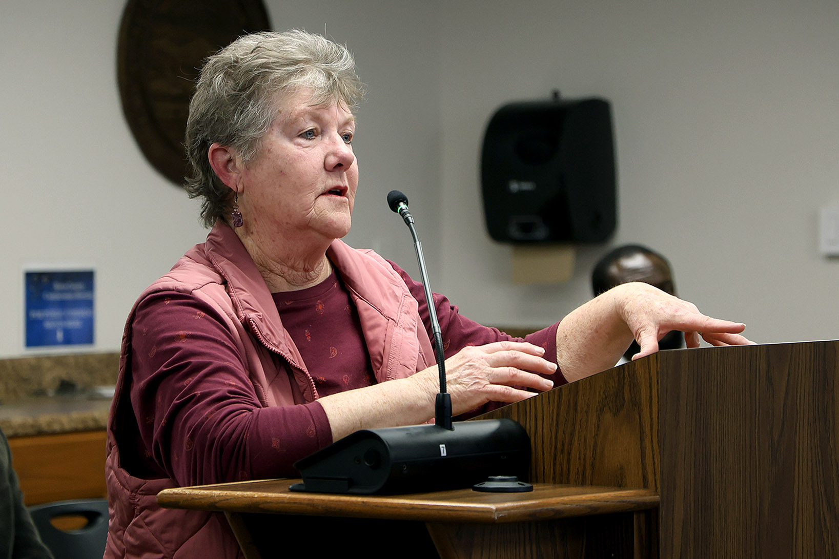 012126_BOCC special mtg_Joyce Wilson_2797.jpg