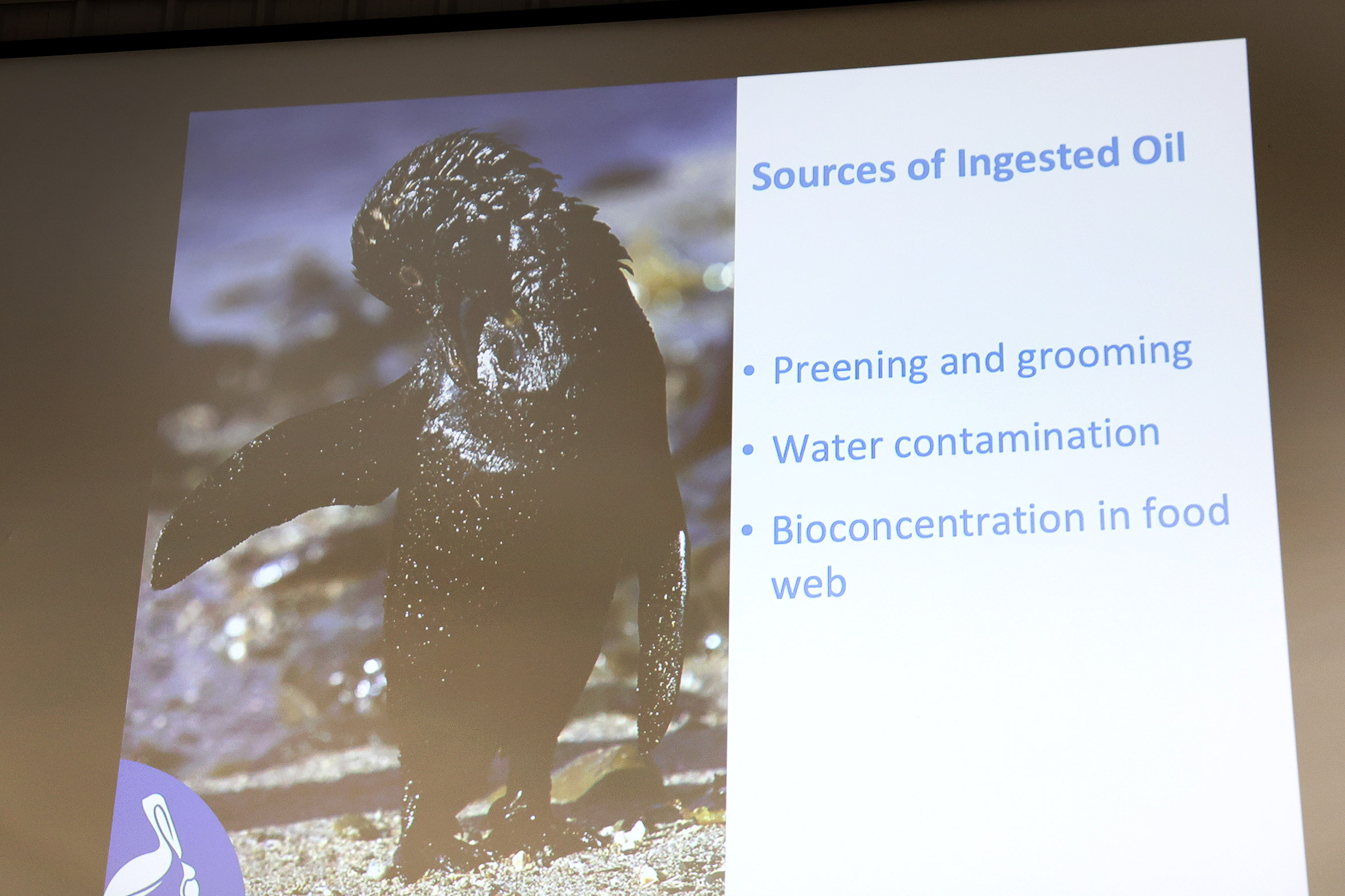 060326- Oiled Wildlife Response Workshop 7102.jpg