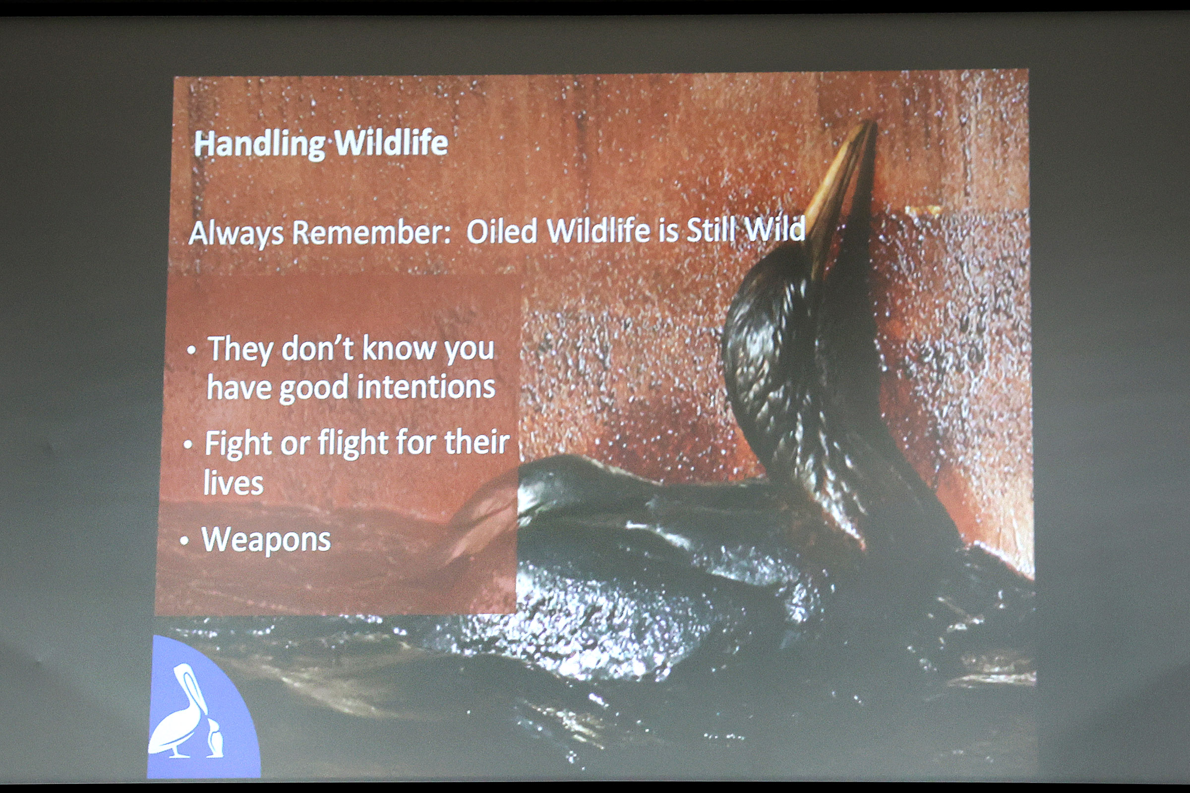 060326- Oiled Wildlife Response Workshop 7953.jpg