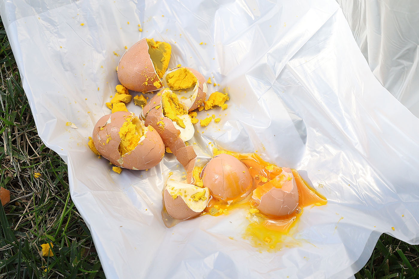 2025 Egg Smash, U Way 4328.jpg