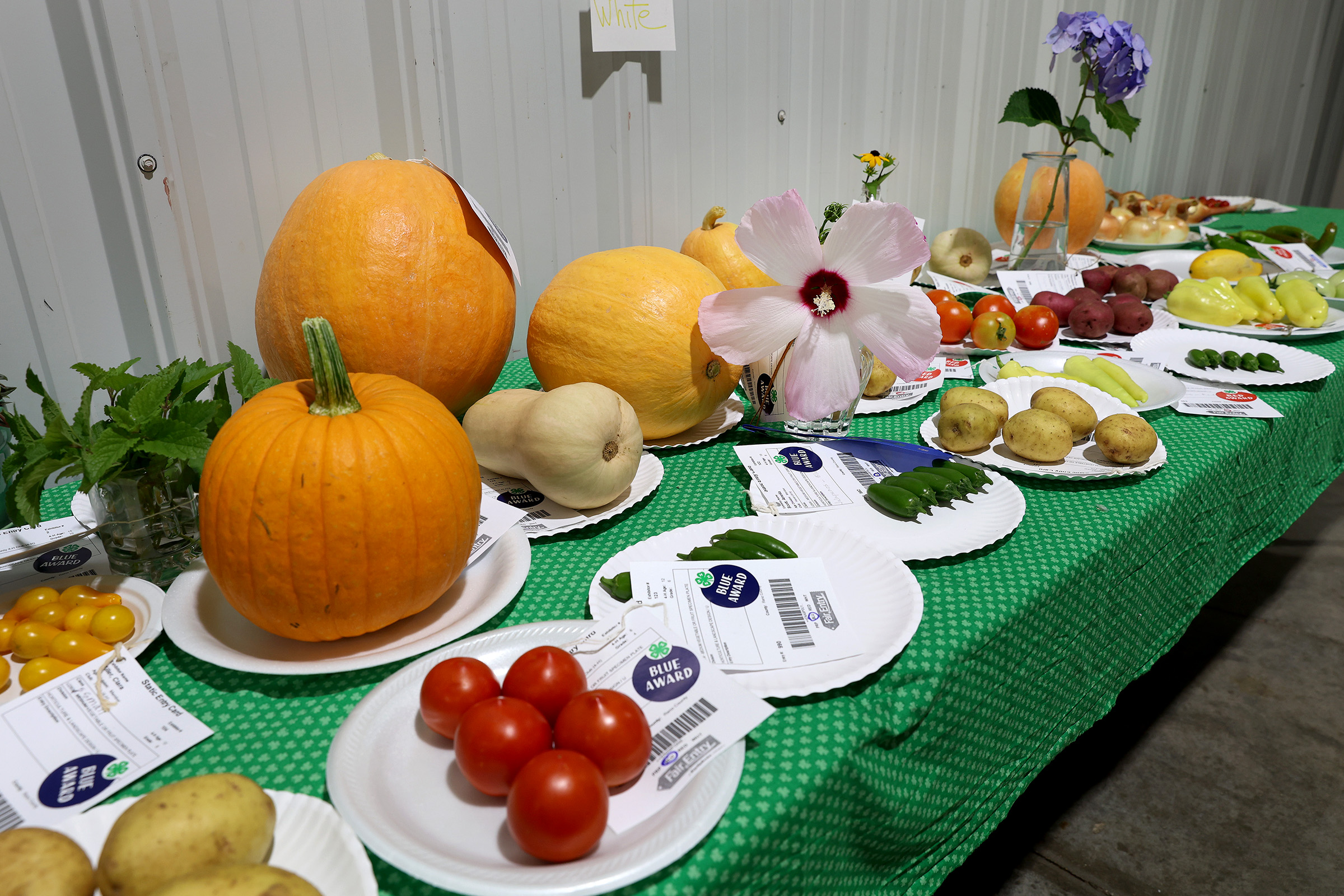 2025 reno county 4h fair_8883.jpg