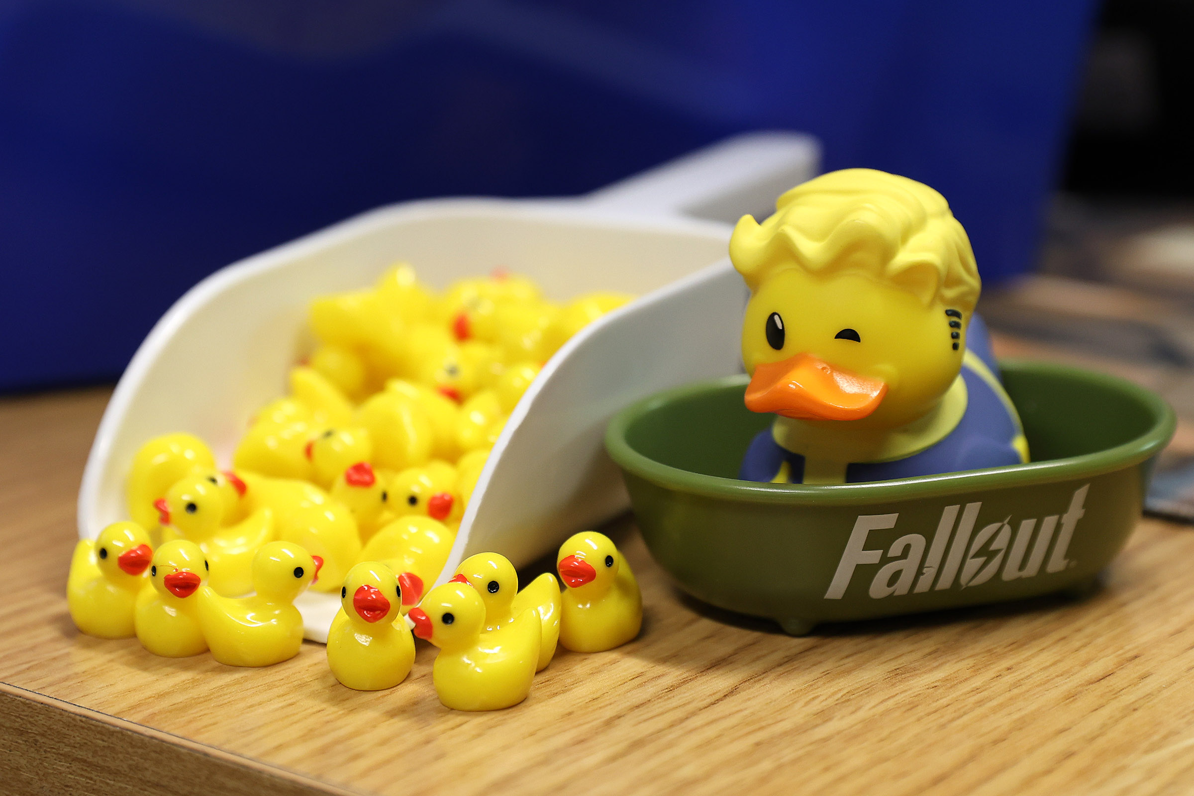 Ducks2025_SJM_7957.jpg