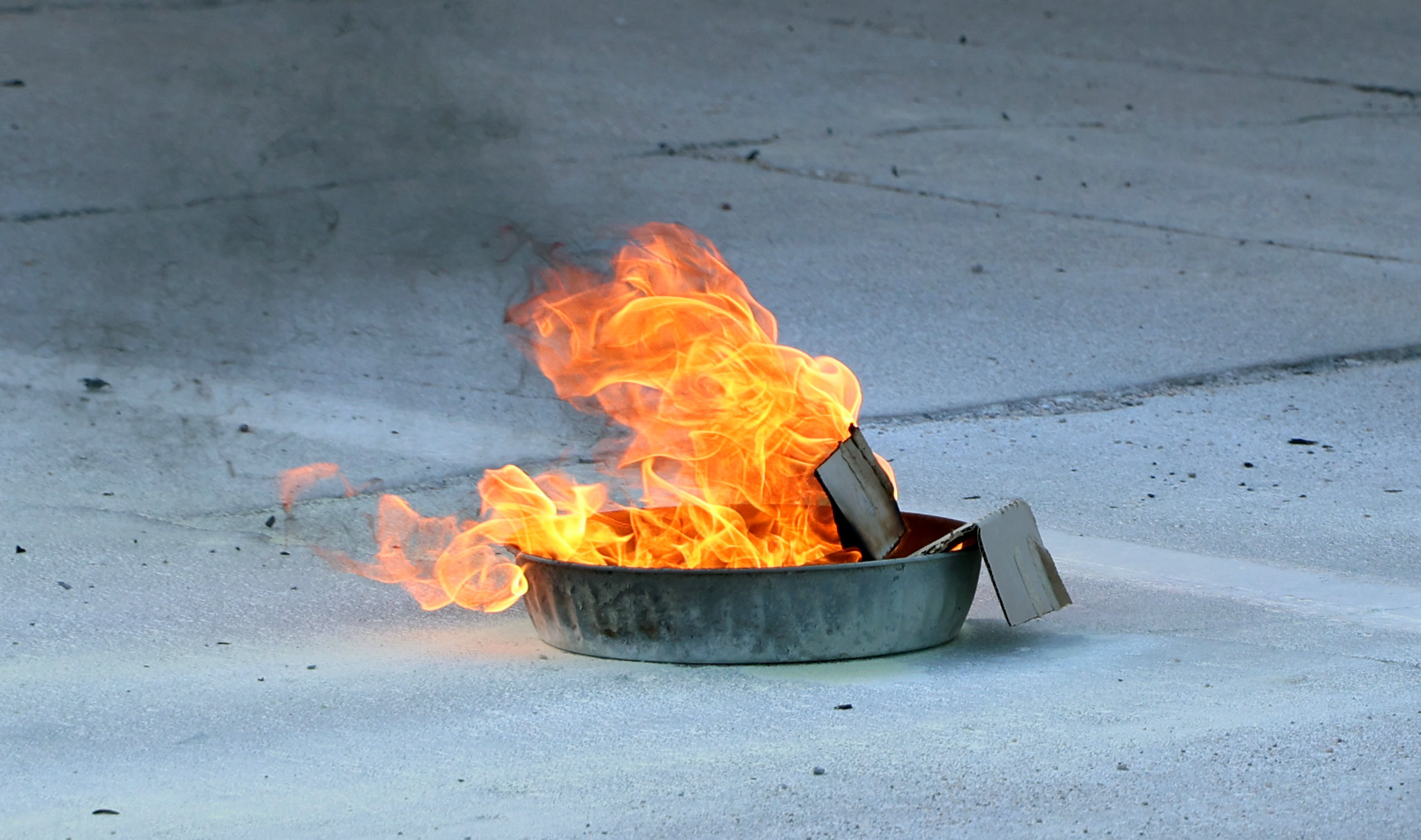 extinguisher 2025 training RCHD_7862.jpg