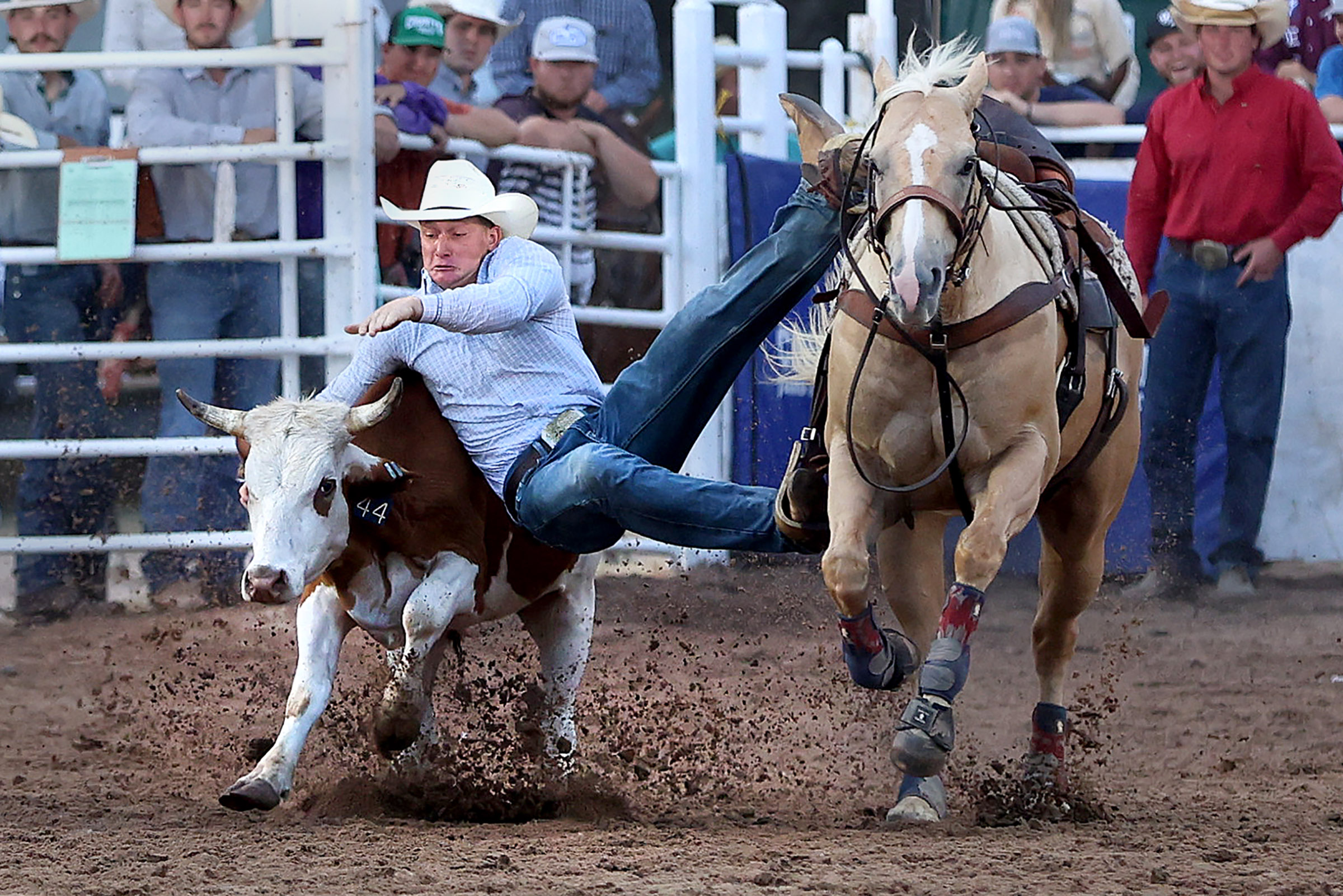 pretty prairie rodeo13_0306.jpg